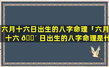 六月十六日出生的八字命理「六月十六 🐴 日出生的八字命理是什么 🐋 」